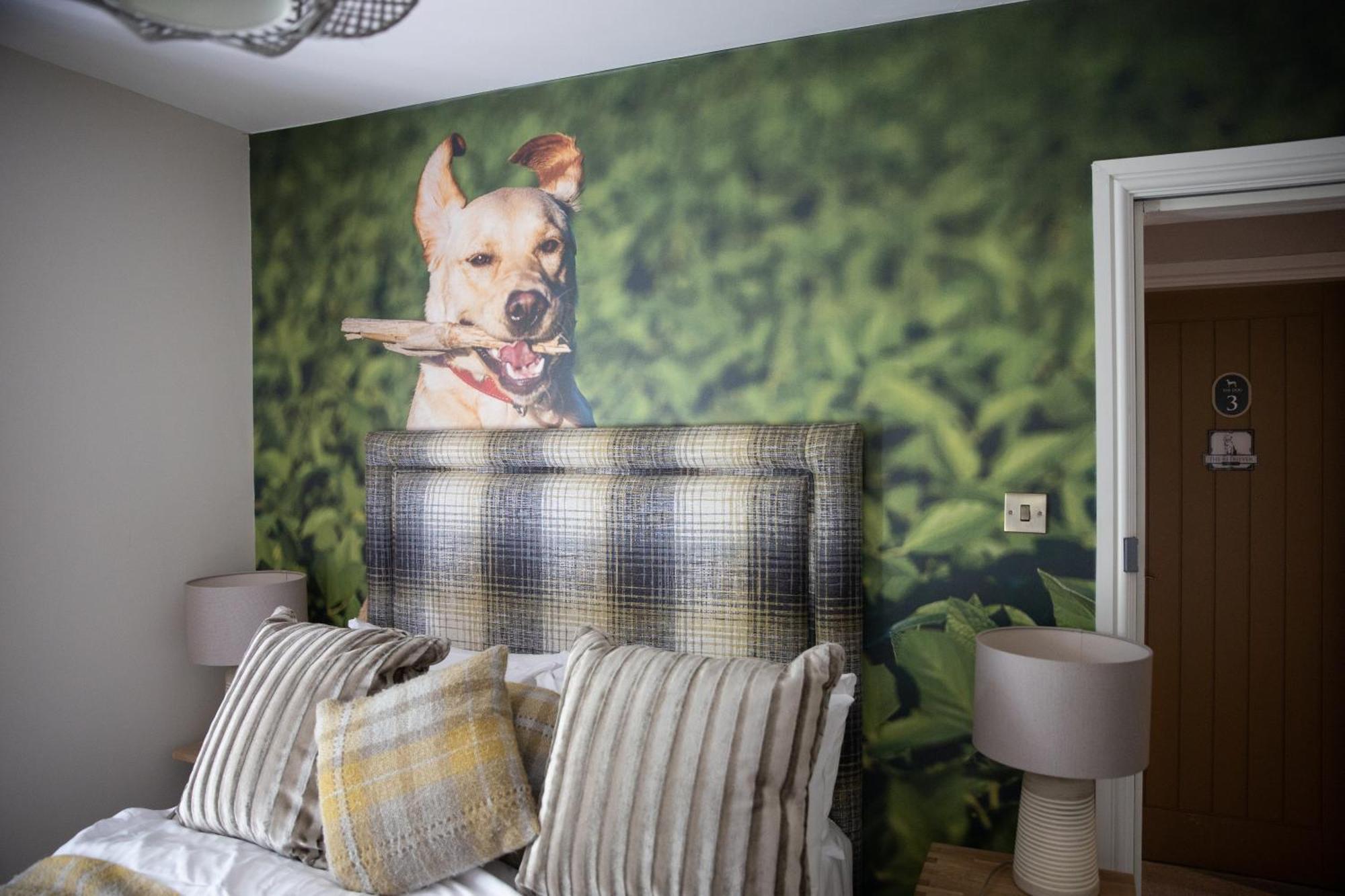 The Dog In Over Peover Knutsford Zewnętrze zdjęcie
